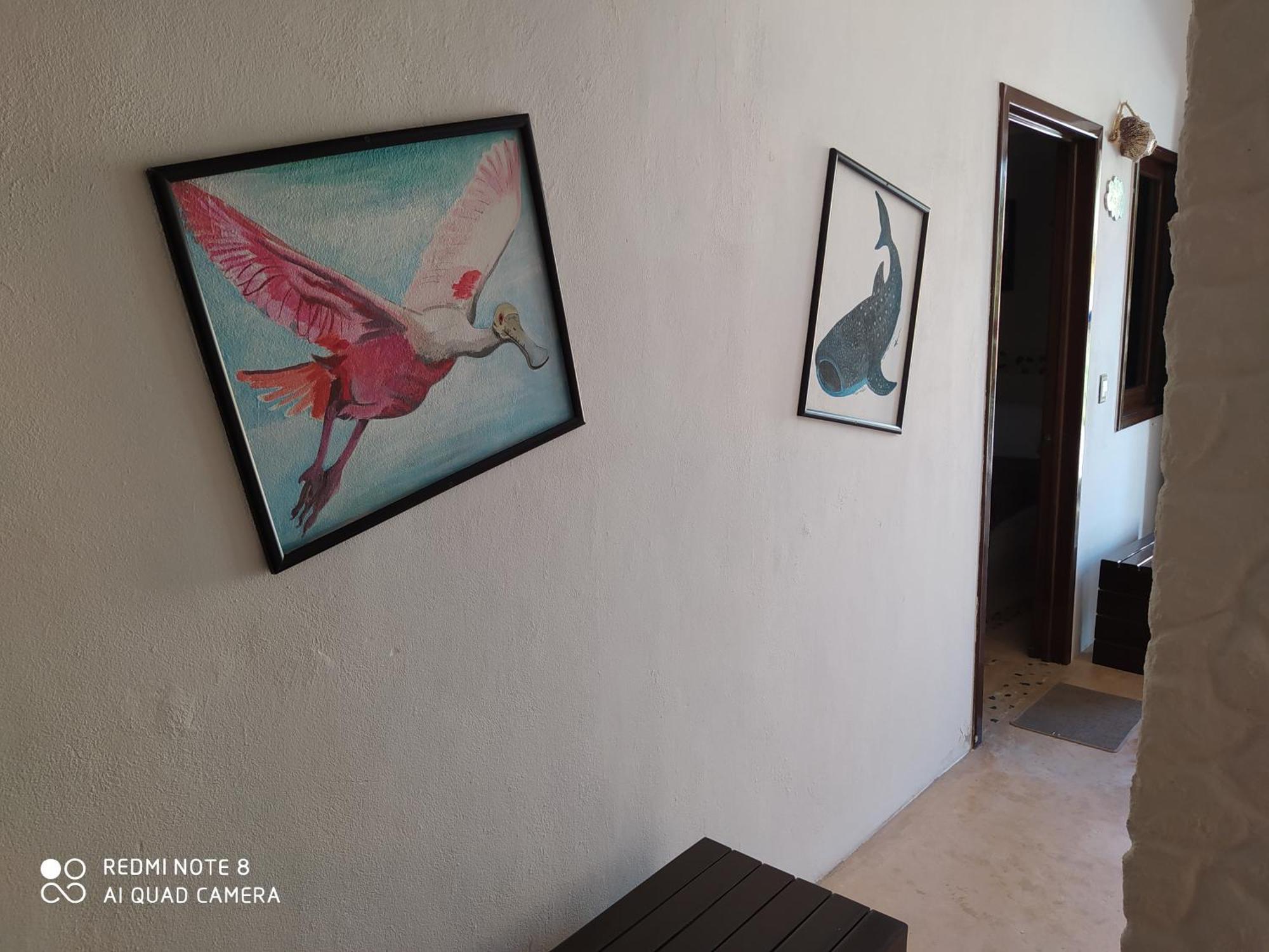 Casa Ohana-Disfruta Del Paraiso Isla Holbox Room photo